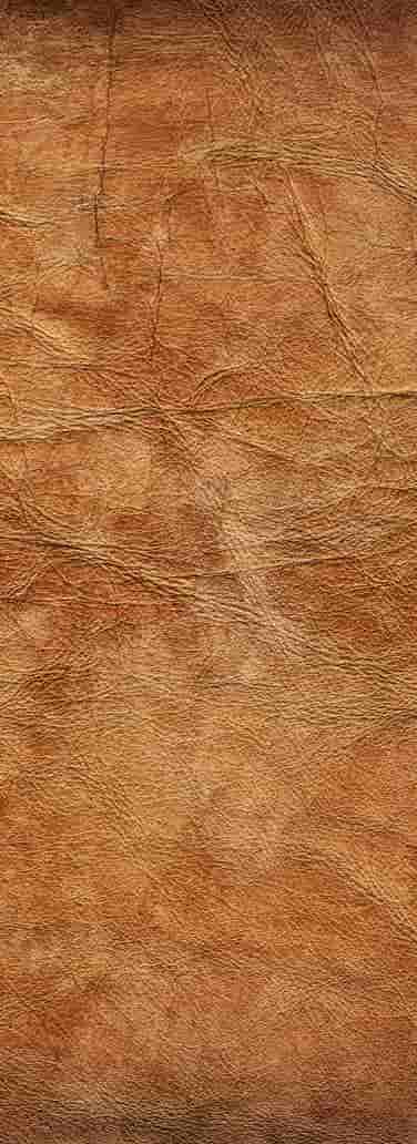 Leather sample substrate