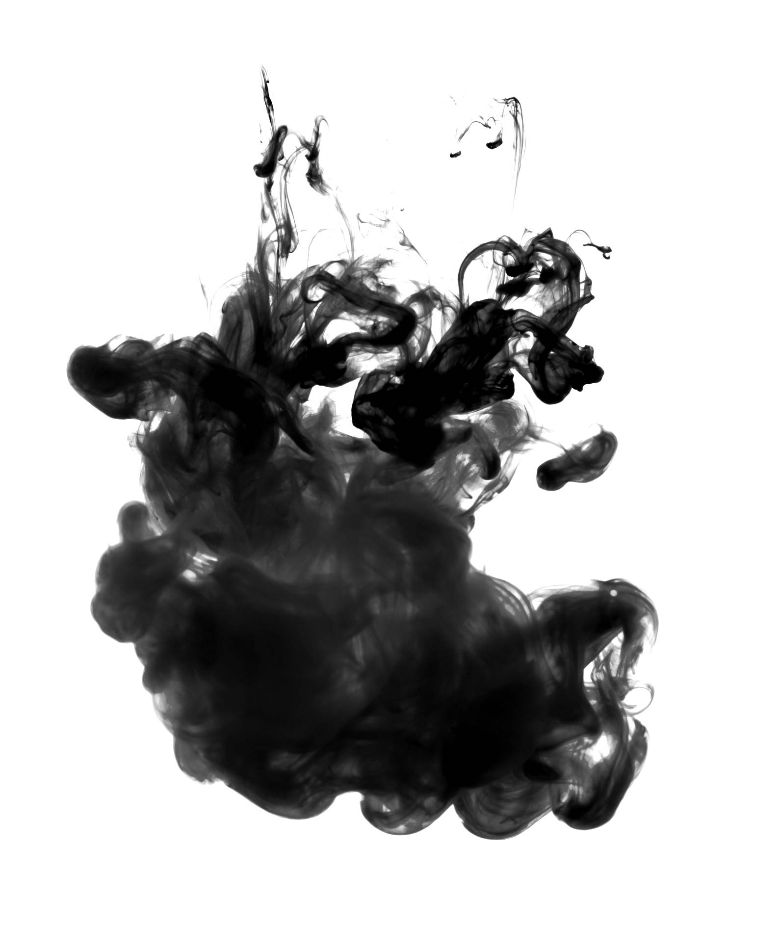 The Science of Black Ink | The Ink Tank
