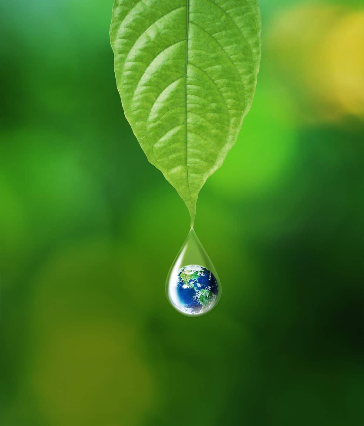Leaf with water droplet containing the earth
